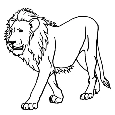 Pаскраска лев #10244 (Животные) – Раскраски для печати