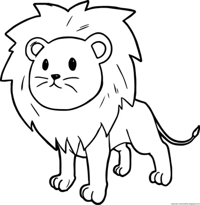Раскраска Лев | Раскраски диких животных для малышей. Простые раскраски с  дикими зверями
