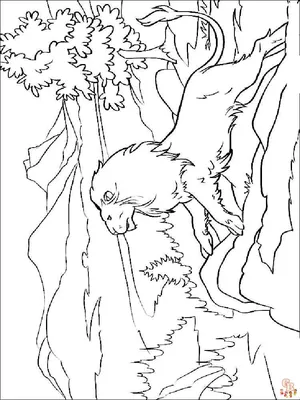 Многоразовая раскраска «Лев», 20 × 20 см - РусЭкспресс