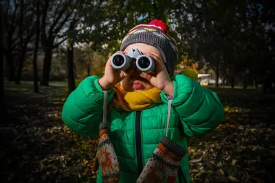 Развитие ребенка в 7 лет, особенности психики и развития детей в 7 лет