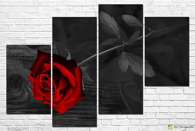 Белые цветы на черном фоне (65 фото) | Розы, Розовые фоны, Обои