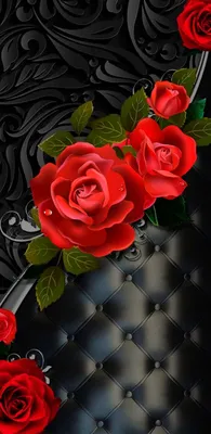 Красная роза на черном фоне - обои на рабочий стол