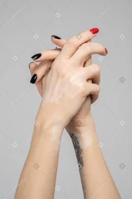 Женская рука что-то показывает на белом фоне :: Стоковая фотография ::  Pixel-Shot Studio