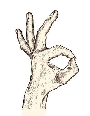 Женская рука стоковое изображение. изображение насчитывающей бело -  137870091