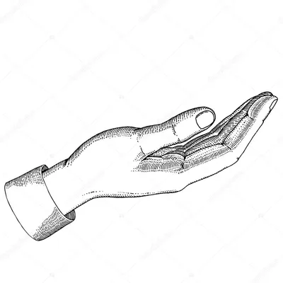 Палец руки, две руки, руки человека, рука, руки, рука Модель png | PNGWing