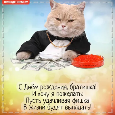 Шуточная открытка Брату с Днём рождения, с котом • Аудио от Путина,  голосовые, музыкальные