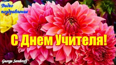 Красивая открытка с Днем Учителя — скачать бесплатно