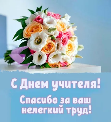 День учителя 5 октября: красивые открытки и оригинальные поздравления с  праздником 2021 - МК Новосибирск