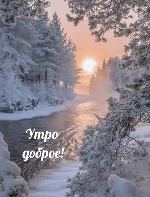 С добрым зимним утром ⛄🥰😘 | TikTok