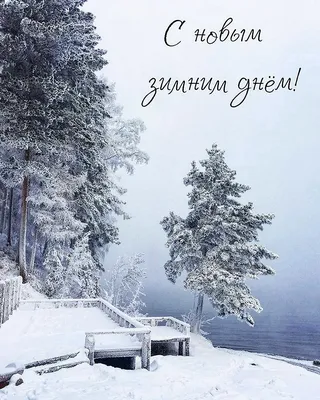 Красивая зима!!!!!!! Свиристели в Подмосковье.С добрым утром и с хорошим  днём!!!!!!!