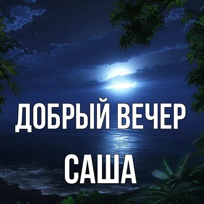 Футболка с именем Саша, Александр, Александр Накидонский, известный  Украинский алководец, плейбой и филантроп. XL (ID#2067759216), цена: 540 ₴,  купить на Prom.ua