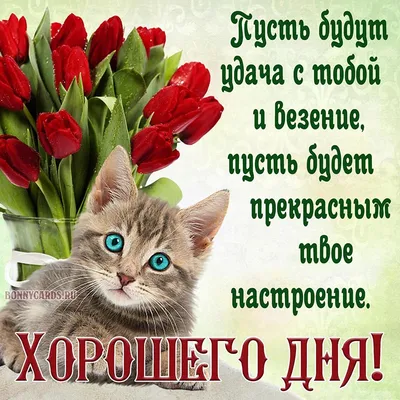 Картинка \"С добрым утром и с хорошим днём!\" с красивой розой • Аудио от  Путина, голосовые, музыкальные
