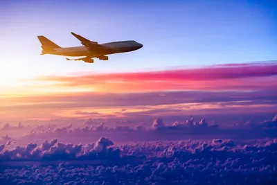 Фотообои Самолет в небе купить на стену — Цены и 3D Фото в каталоге  интернет магазина Printwalls