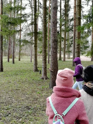 Литовское село. Родители умерли, дети приезжают только на озеро - Delfi RU