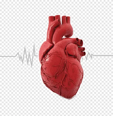 Сердце Формы Вектор Розовый Конфетти Кадр День Святого Валентина Фона  Клипарты, SVG, векторы, и Набор Иллюстраций Без Оплаты Отчислений. Image  70385508