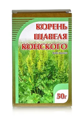 Конский щавель - купить лечебные травы недорого в интернет-магазине «Травы  Горного Крыма»