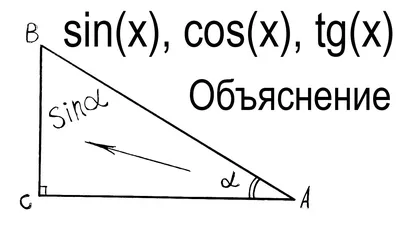 Синус, косинус, тангенс и котангенс числа.