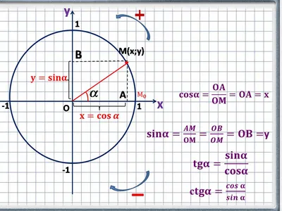 Синус, косинус, тангенс,... - Алгоритмика. Набережные Челны | Facebook