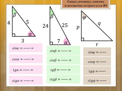 Синус(sin), косинус(cos), тангенс(tg), котангенс(ctg) - как найти,  отношение, формулы | материалы для ЕГЭ по Математике