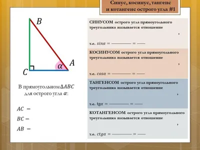 Синус, косинус, тангенс и котангенс в тригонометрии: определения, формулы,  примеры