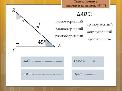 Синус, косинус, тангенс, котангенс 1 worksheet | Live Worksheets