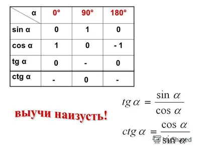 Синус косинус тангенс котангенс» — создано в Шедевруме