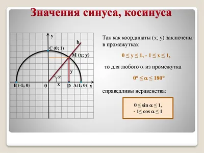 Матеріали уроку | Урок 23. Синус, косинус, тангенс і котангенс кута.  Частина 2 | Алгебра і початки аналізу. 10 клас Навчальна Програма | ВШО