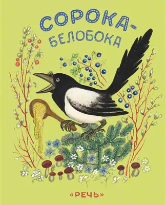 картинки : Сорока, филиал, Сидящий, live animal, перо, оперение, клюв,  природа, трава, растение, Евразийская сорока, Черная сорока сорока, крыло,  Певчий птица, хвост, Природный ландшафт, Птица-птица, Ворона, как птица,  Земное животное, Пастбище ...