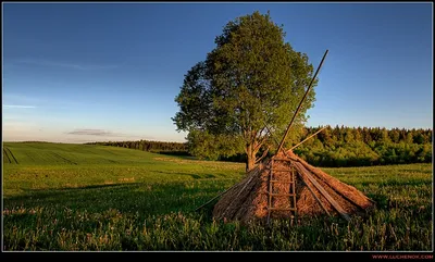 Стог сена | Фотосъемка, Фотосессии девушек, Позы моделей