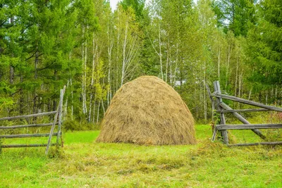 Стог сена в Живерни (картина Моне, Эрмитаж) — Википедия