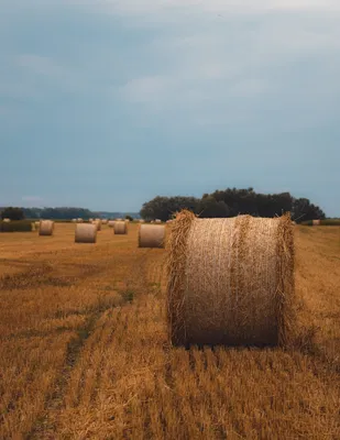 Скачать 3840x2160 поле, сено, стог сена, небо, облака обои, картинки 4k uhd  16:9