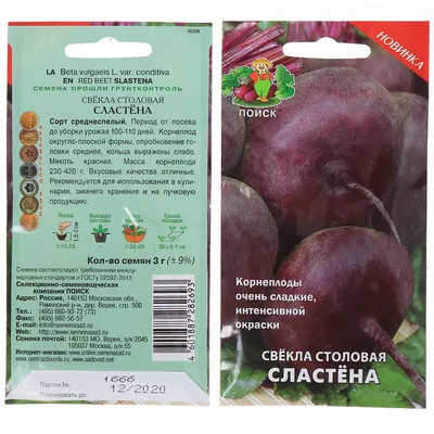 Свекла столовая Цилиндра 🌱 - купить семена свеклы столовой в Украине |  FLORIUM.UA✓