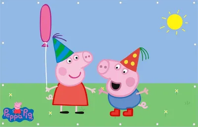 24 шт. Свинка Пеппа Джордж семейный День Рождения фотография детской  розовой голубой свинки Пеппа | AliExpress