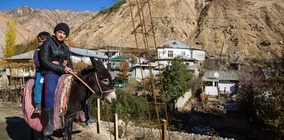 Флаг Республики Таджикистан (id 68581028), купить в Казахстане, цена на  Satu.kz