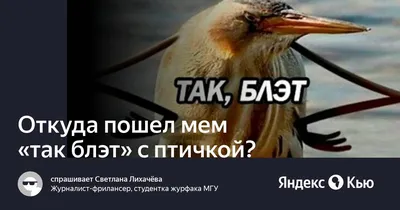 Так Блэт!\" | Пикабу