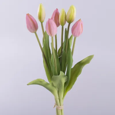 Заказать Букет разноцветных тюльпанов \"Эмили\" в Киеве