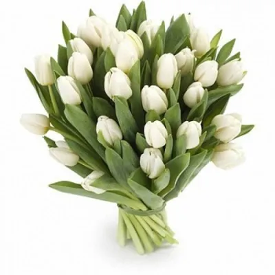 Купить Букет тюльпанов 51 шт \"Микс цветов\" с доставкой в Краснодаре |  Vanilla