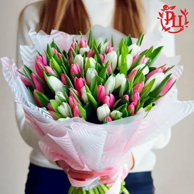 Купить букет 101 красный тюльпан 8500 р. в интернет магазине Модный букет с  доставкой по Москве
