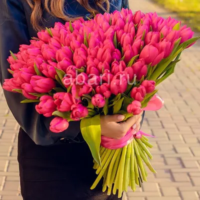 Букет из 19 розовых пионовидных тюльпанов и гипсофилы в упаковке купить в  Твери по цене 3600 рублей | Камелия