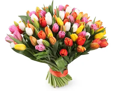 Букет из 21 разноцветного тюльпана – купить с доставкой в Москве. Цена ниже!