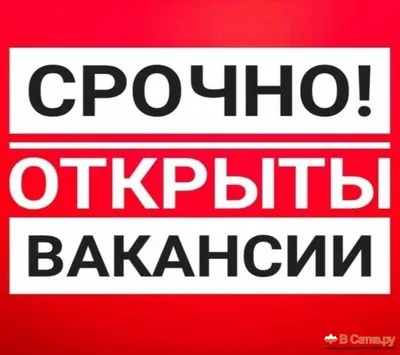 В администрацию Орловского сельского поселения требуется водитель |  13.03.2023 | Новая Усмань - БезФормата