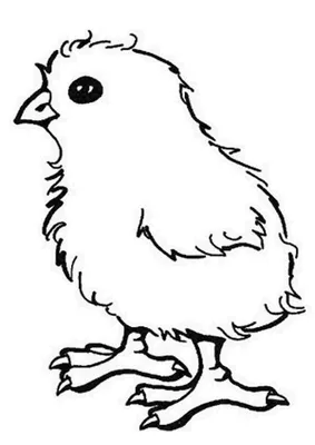 Реалистичное украшение Цыпленок, милая Пасхальная фигурка цыпленка,  имитация цыпленка, пасхальное украшение «сделай сам», миниатюрное украшение  для цыплят и сада, домашний декор | AliExpress