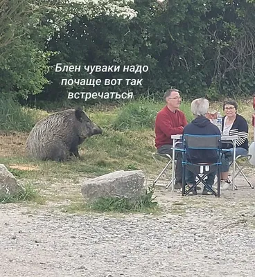 Безумная тусовка в модном воронежском клубе попала на видео