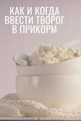 Домашний творог для детей из кефира рецепт с фото пошагово - 1000.menu