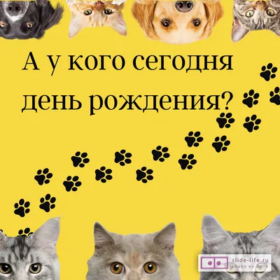 ПОЗДРАВЛЯЕМ, ВСЕХ, У КОГО СЕГОДНЯ ДЕНЬ РОЖДЕНИЯ! - ПРИВЕТСТВИЯ и ПОЖЕЛАНИЯ,  открытки на каждый день., №2106873720 | Фотострана – cайт знакомств,  развлечений и игр