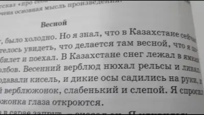 Минпросвещения одобрило учебник истории под редакцией Мединского — РБК