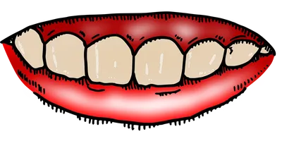 Рот Губа Улыбка Зуб, Губы, люди, губы, скачать с прозрачным фоном png |  Klipartz