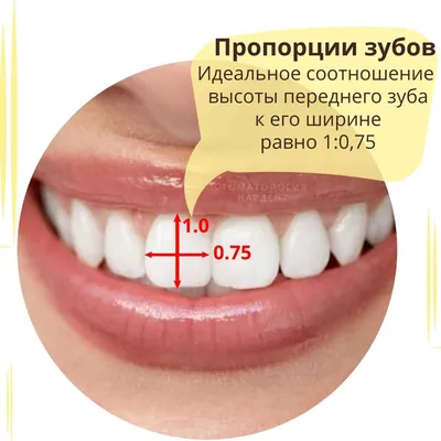 Красивая улыбка с здоровыми зубами Стоковое Изображение - изображение  насчитывающей жизнерадостно, содружественно: 31838773
