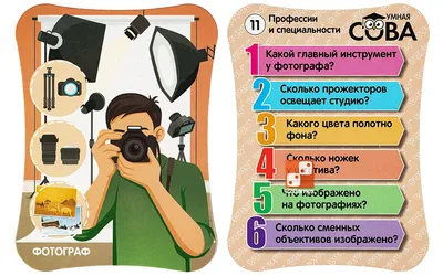 536-AS Умная сова Раскраска картина по номерам на холсте Белоснежка купить  недорого в интернет магазине в Ростове-на-Дону , цена, отзывы, фото