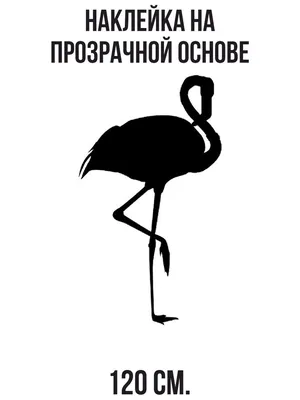 Векторный небесный какаду в изолированной дикой природе. Черно-белый  рисунок чернил. Изолированный элемент иллюстрации попугая . Векторное  изображение ©AndreYanush 312836224